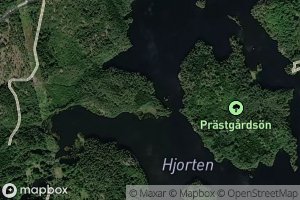 Hjorten