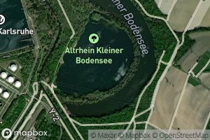 Altrhein Kleiner Bodensee