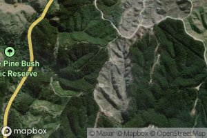 Rauwirikokomuka Stream