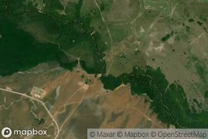 Canada Los Chiguiros