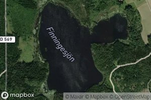 Finningesjoen