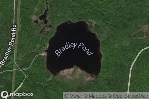 Bradley Pond