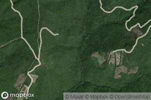 Fosso delle Pianacce