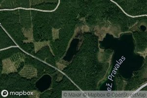 Ezeras Vienavalksnys