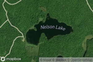 Nelson Lake