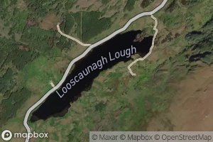 Lough Looscaunagh
