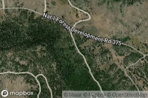 Dog Lake Burn Spring