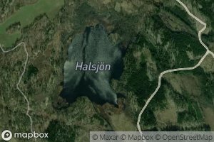 Halsjon