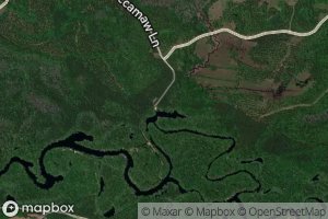 Big Savannah Bluff Lake