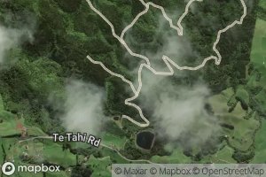 Mangarewarewa Stream