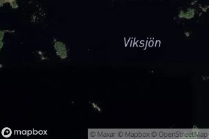 Viksjon