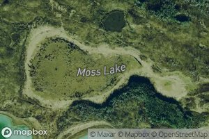 Moss Lake