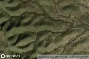 Canada La Palma China