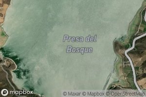 El Bosque