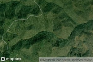 Lower Right Fork Long Branch