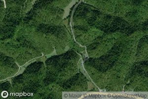 Painters Lick Branch