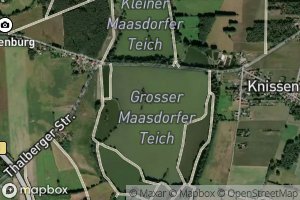 Grosser Maasdorfer Teich