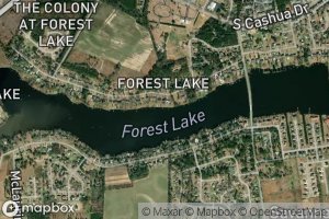 Forest Lake