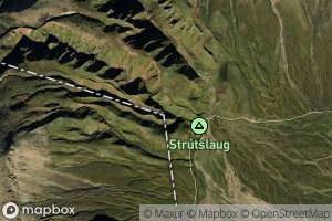Strutslaug