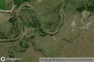 Leaf on the Hill Creek