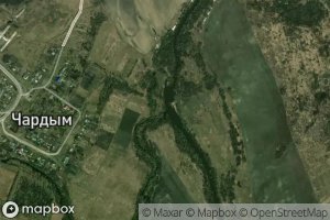Chardym