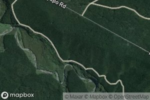 Tauranga Taupo River