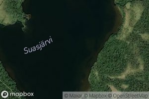 Suasjarvi