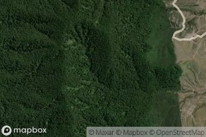 Te Whata Manawanui Stream