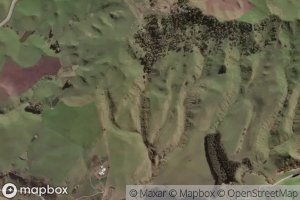 Makokomiko West Stream