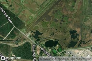 Left Prong Molasses Bayou