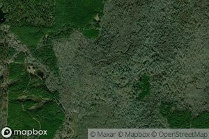 West Fork Tulip Creek