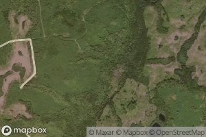 Bog Island Lake Brook