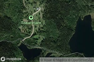 Tiskaretjarn