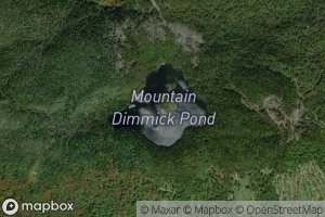 Mountain Dimmick Pond