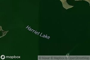 Harriet Lake