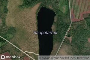 Haapalampi