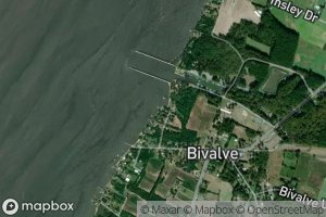 Bivalve Harbor