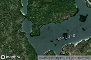 Joe Lake