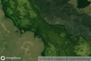 Liman Pal'chikivskiy