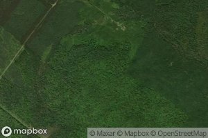 West Branch Forks Brook