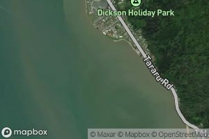 Pukehinau (Shellback) Stream