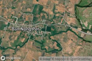 Nong Pet