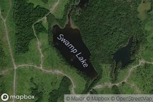 Swamp Lake