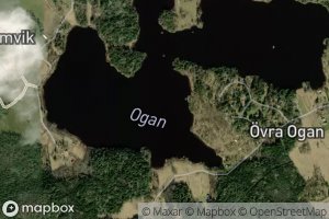 Ogan