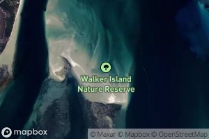 Tangihana Shell Bank