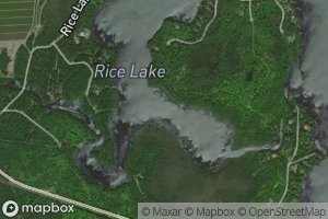 Rice Lake