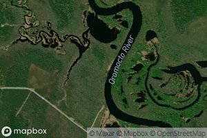 Three Tree Creek Pond