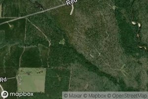 Rattlesnake Spring Branch