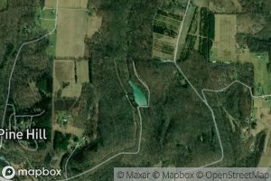 Little Lake in the Woods