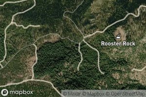Rooster Rock Spring